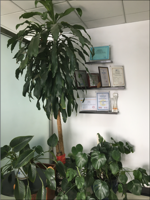 品牌授權證書展示區 品牌授權證書展示區